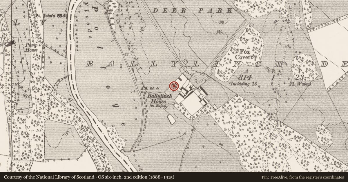 Ordnance Survey six-inch map, 2nd edition (1888–1915) covering the location of House - 16th/17th century, Ballylinch Demesne, County Kilkenny, with a pin at the register's coordinates