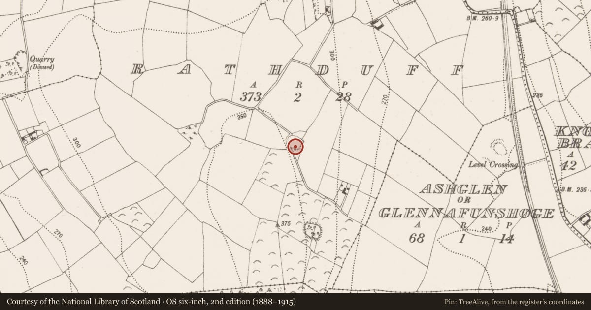 Ordnance Survey six-inch map, 2nd edition (1888–1915) covering the location of Enclosure, Rathduff, County Kilkenny, with a pin at the register's coordinates