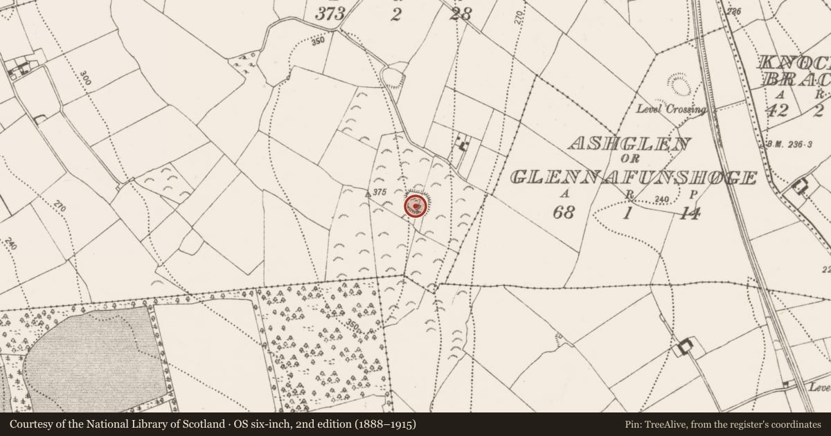 Ordnance Survey six-inch map, 2nd edition (1888–1915) covering the location of Enclosure, Rathduff, County Kilkenny, with a pin at the register's coordinates