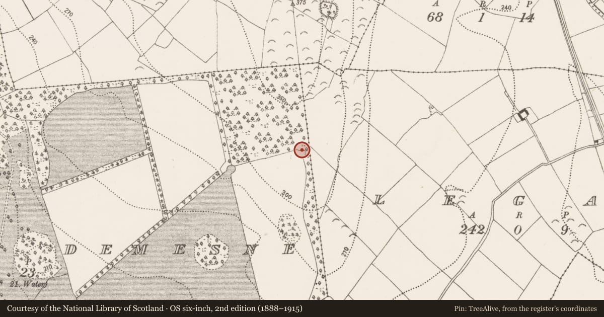 Ordnance Survey six-inch map, 2nd edition (1888–1915) covering the location of Enclosure, Ballylinch Demesne, County Kilkenny, with a pin at the register's coordinates