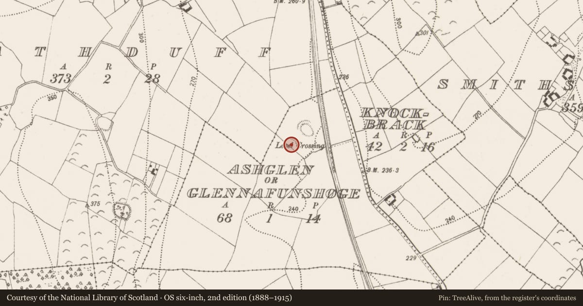 Ordnance Survey six-inch map, 2nd edition (1888–1915) covering the location of Souterrain, Ashglen Or Glennafunshoge, County Kilkenny, with a pin at the register's coordinates
