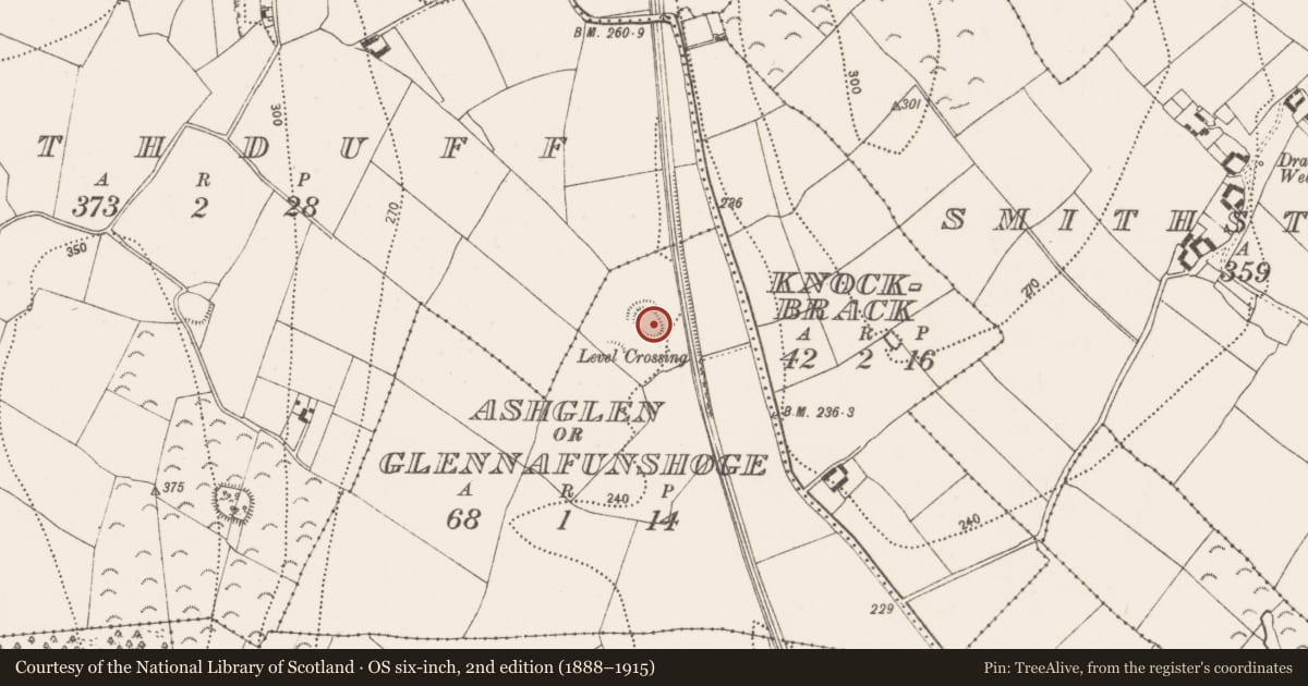 Ordnance Survey six-inch map, 2nd edition (1888–1915) covering the location of Enclosure, Ashglen Or Glennafunshoge, County Kilkenny, with a pin at the register's coordinates