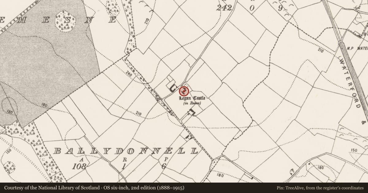 Ordnance Survey six-inch map, 2nd edition (1888–1915) covering the location of Ogham stone, Legan, County Kilkenny, with a pin at the register's coordinates