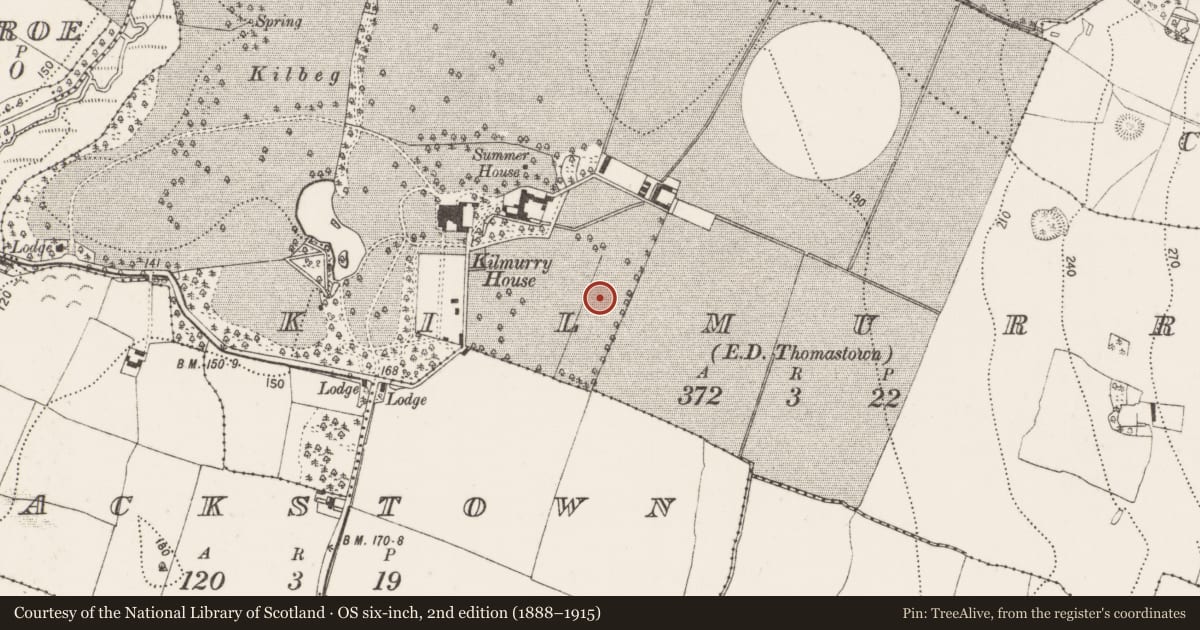 Ordnance Survey six-inch map, 2nd edition (1888–1915) covering the location of Church, Kilmurry, County Kilkenny, with a pin at the register's coordinates