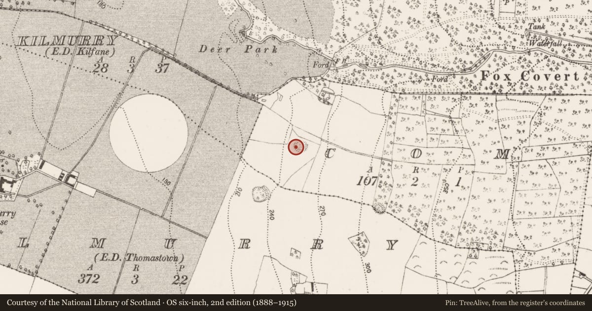 Ordnance Survey six-inch map, 2nd edition (1888–1915) covering the location of Enclosure, Com, County Kilkenny, with a pin at the register's coordinates
