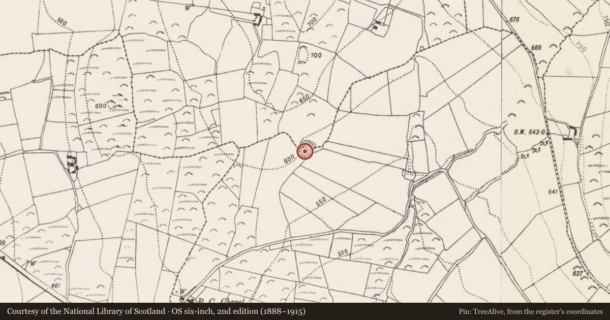 Ordnance Survey six-inch map, 2nd edition (1888–1915) covering the location of Enclosure, Cloghscregg, County Kilkenny, with a pin at the register's coordinates