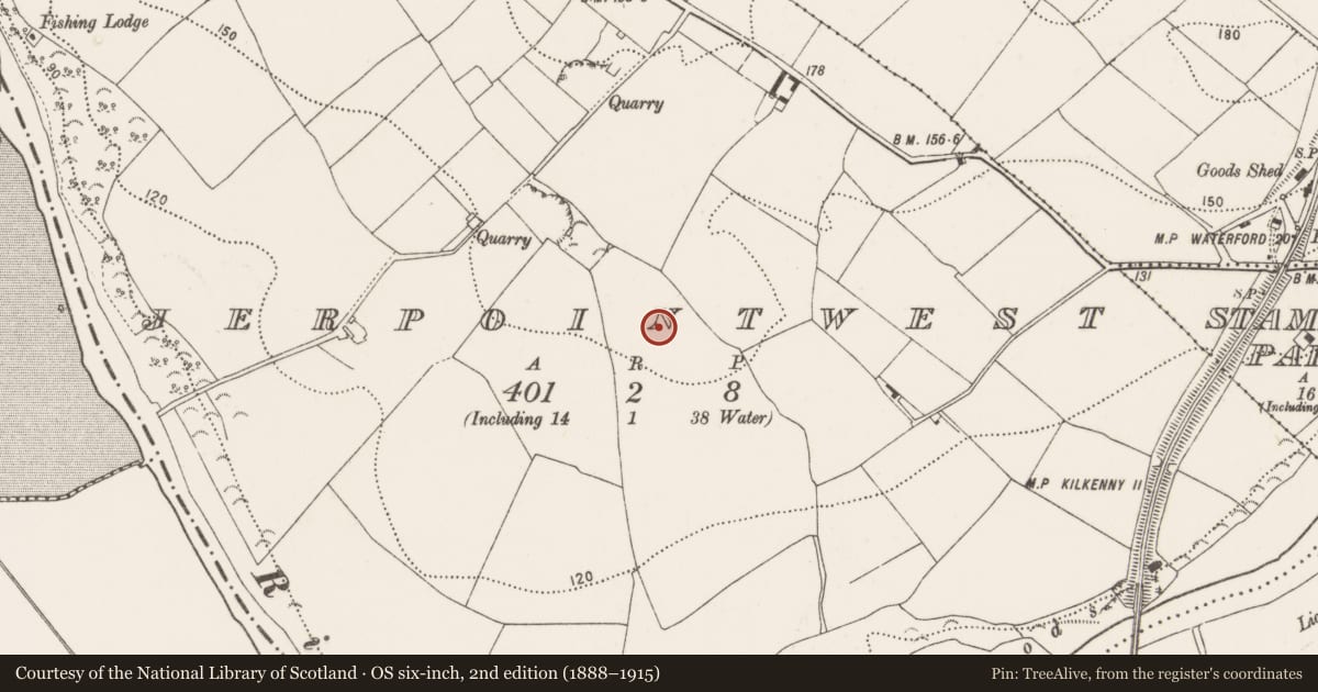 Ordnance Survey six-inch map, 2nd edition (1888–1915) covering the location of Enclosure, Jerpoint West, County Kilkenny, with a pin at the register's coordinates