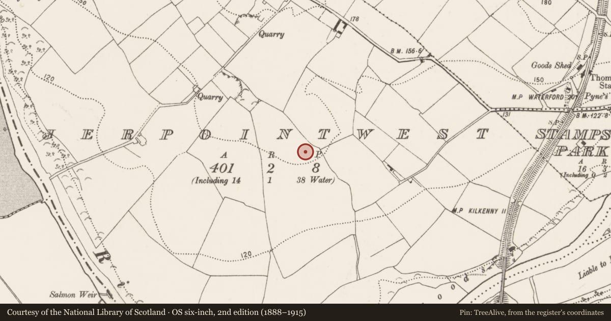 Ordnance Survey six-inch map, 2nd edition (1888–1915) covering the location of Ring-ditch, Jerpoint West, County Kilkenny, with a pin at the register's coordinates