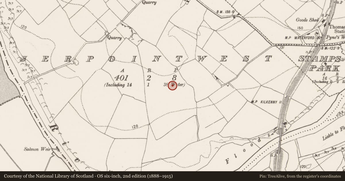 Ordnance Survey six-inch map, 2nd edition (1888–1915) covering the location of Linear earthwork, Jerpoint West, County Kilkenny, with a pin at the register's coordinates