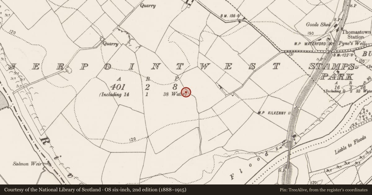 Ordnance Survey six-inch map, 2nd edition (1888–1915) covering the location of Enclosure, Jerpoint West, County Kilkenny, with a pin at the register's coordinates