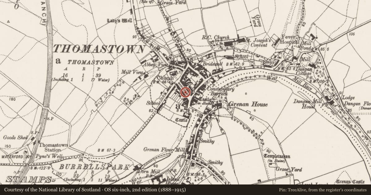 Ordnance Survey six-inch map, 2nd edition (1888–1915) covering the location of Historic town, County Kilkenny, with a pin at the register's coordinates