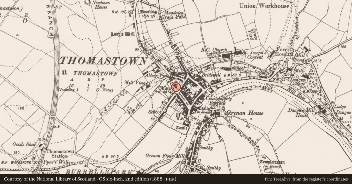 Ordnance Survey six-inch map, 2nd edition (1888–1915) covering the location of Tomb - effigial, Thomastown, County Kilkenny, with a pin at the register's coordinates