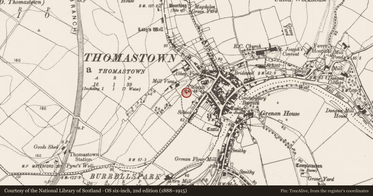 Ordnance Survey six-inch map, 2nd edition (1888–1915) covering the location of Town defences, Thomastown, County Kilkenny, with a pin at the register's coordinates