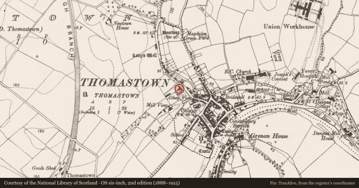 Ordnance Survey six-inch map, 2nd edition (1888–1915) covering the location of Architectural fragment, Newtown, County Kilkenny, with a pin at the register's coordinates
