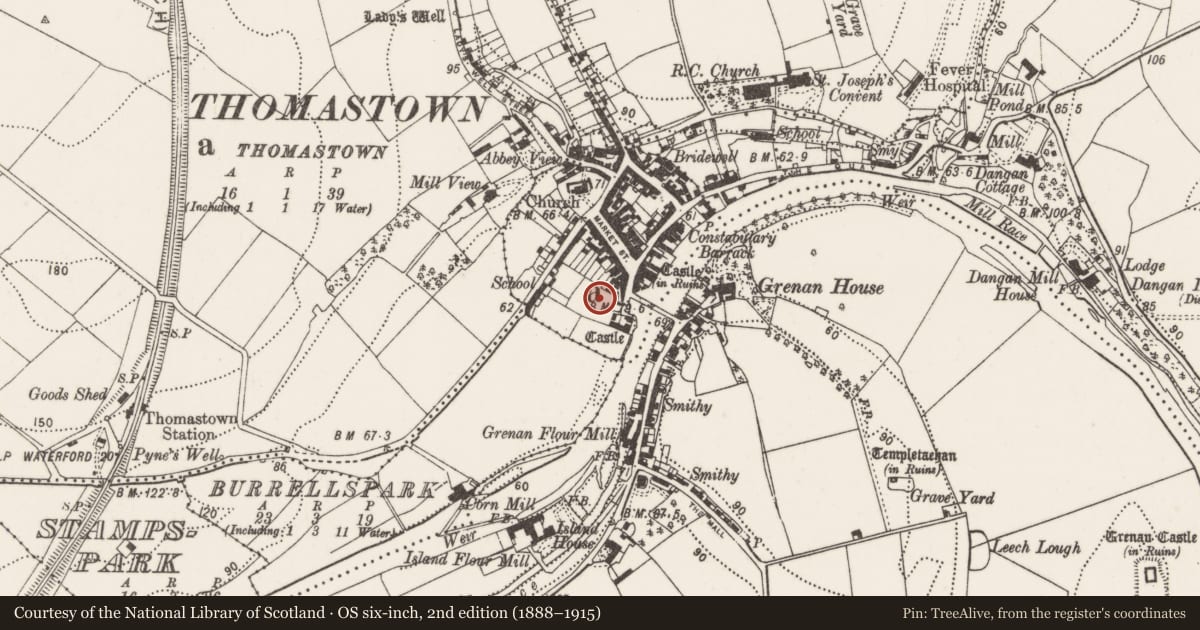 Ordnance Survey six-inch map, 2nd edition (1888–1915) covering the location of Road - road/trackway, Grenan, Thomastown, County Kilkenny, with a pin at the register's coordinates