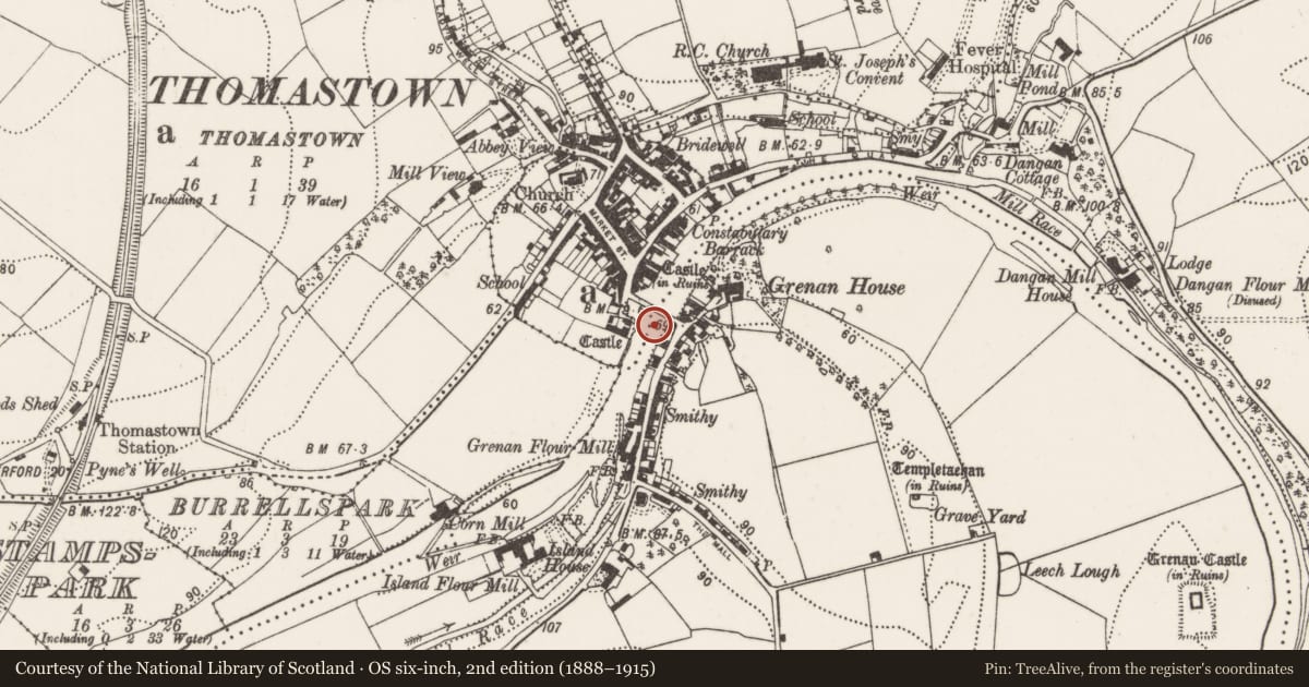 Ordnance Survey six-inch map, 2nd edition (1888–1915) covering the location of Bridge, Grenan, Thomastown, County Kilkenny, with a pin at the register's coordinates
