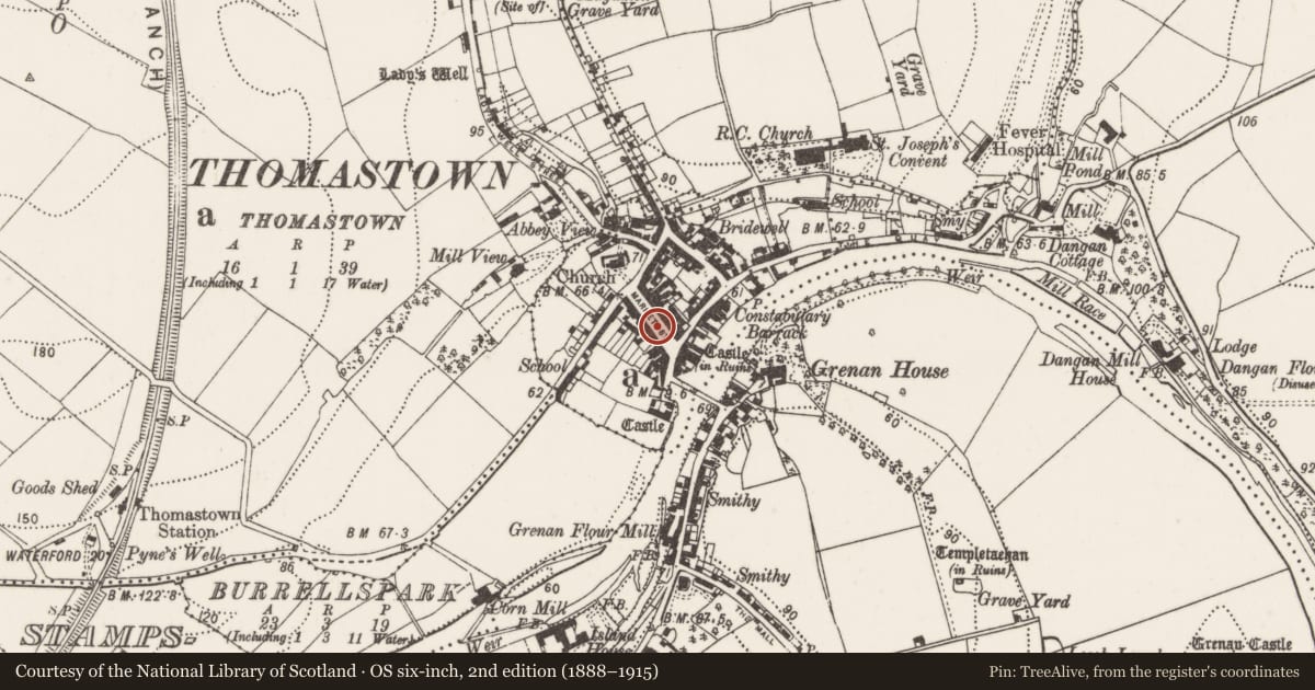 Ordnance Survey six-inch map, 2nd edition (1888–1915) covering the location of Cross - Market cross, Thomastown, County Kilkenny, with a pin at the register's coordinates