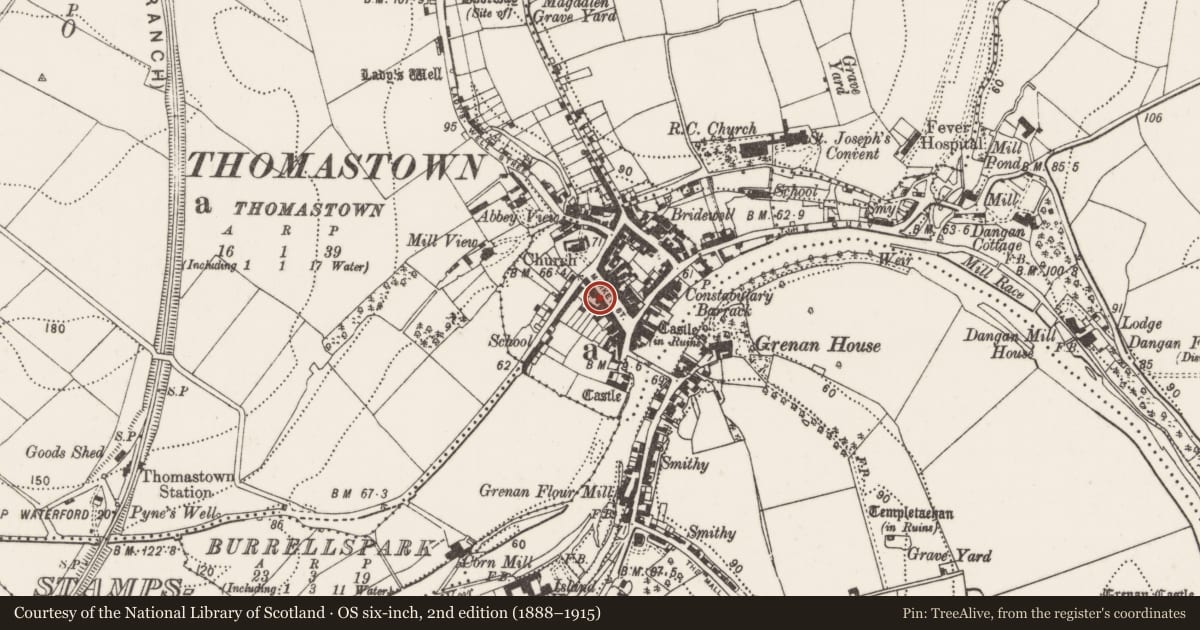Ordnance Survey six-inch map, 2nd edition (1888–1915) covering the location of Armorial plaque (present location), Thomastown, County Kilkenny, with a pin at the register's coordinates