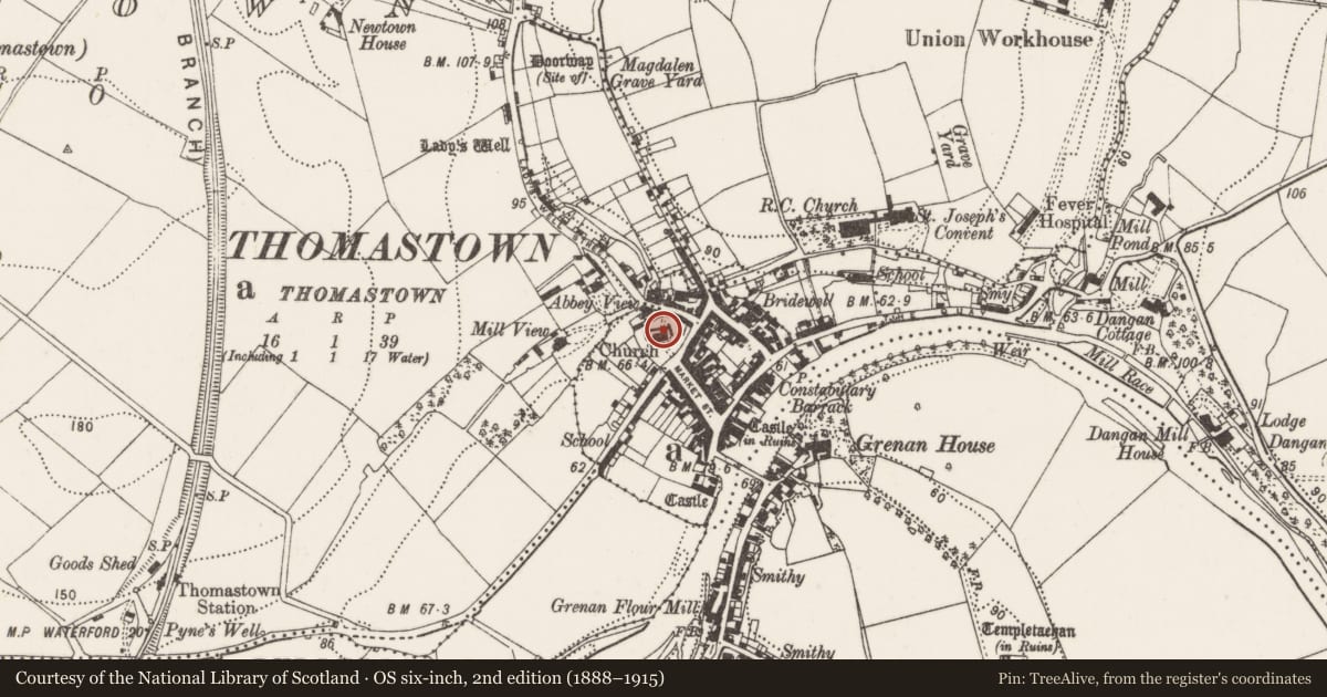 Ordnance Survey six-inch map, 2nd edition (1888–1915) covering the location of Graveslab, Thomastown, County Kilkenny, with a pin at the register's coordinates