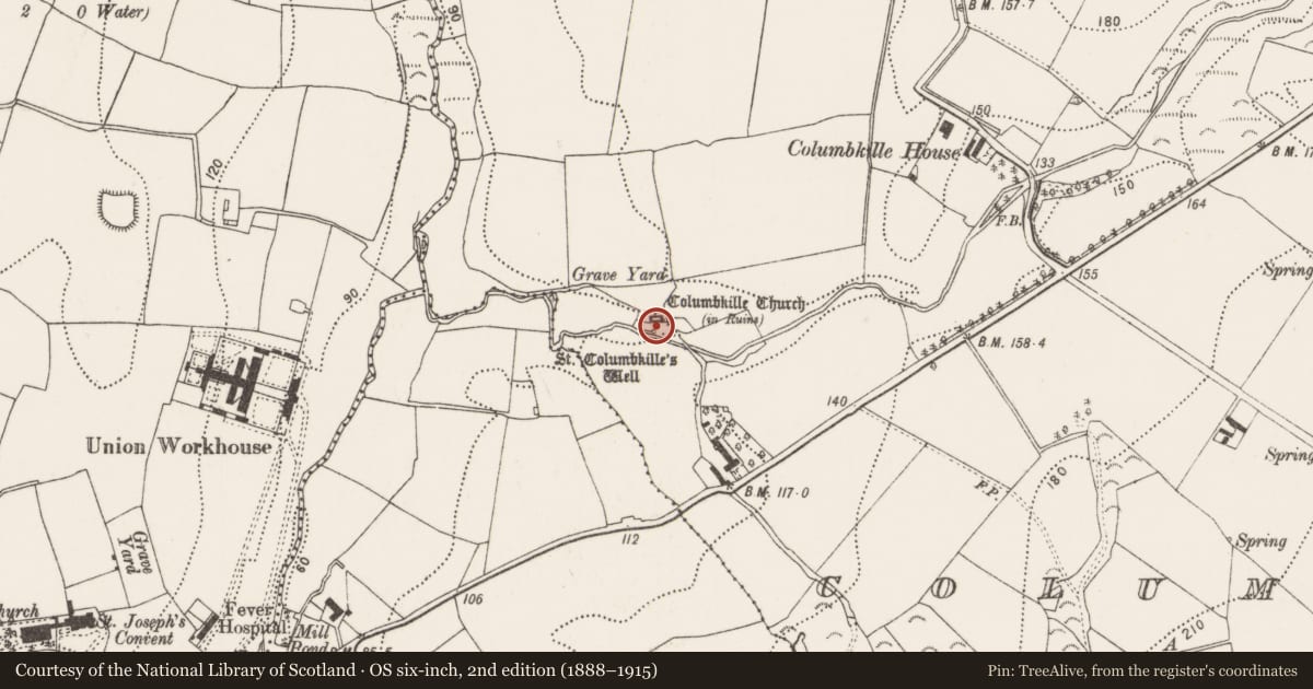 Ordnance Survey six-inch map, 2nd edition (1888–1915) covering the location of Church, Columbkille, County Kilkenny, with a pin at the register's coordinates
