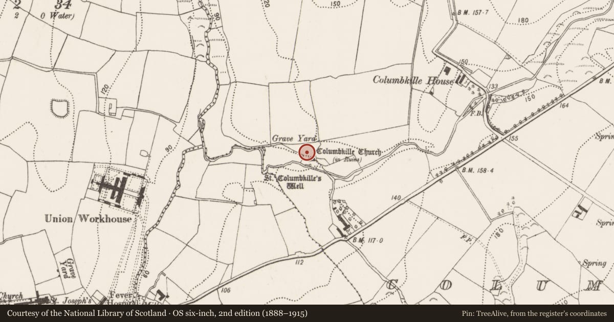 Ordnance Survey six-inch map, 2nd edition (1888–1915) covering the location of Graveyard, Columbkille, County Kilkenny, with a pin at the register's coordinates