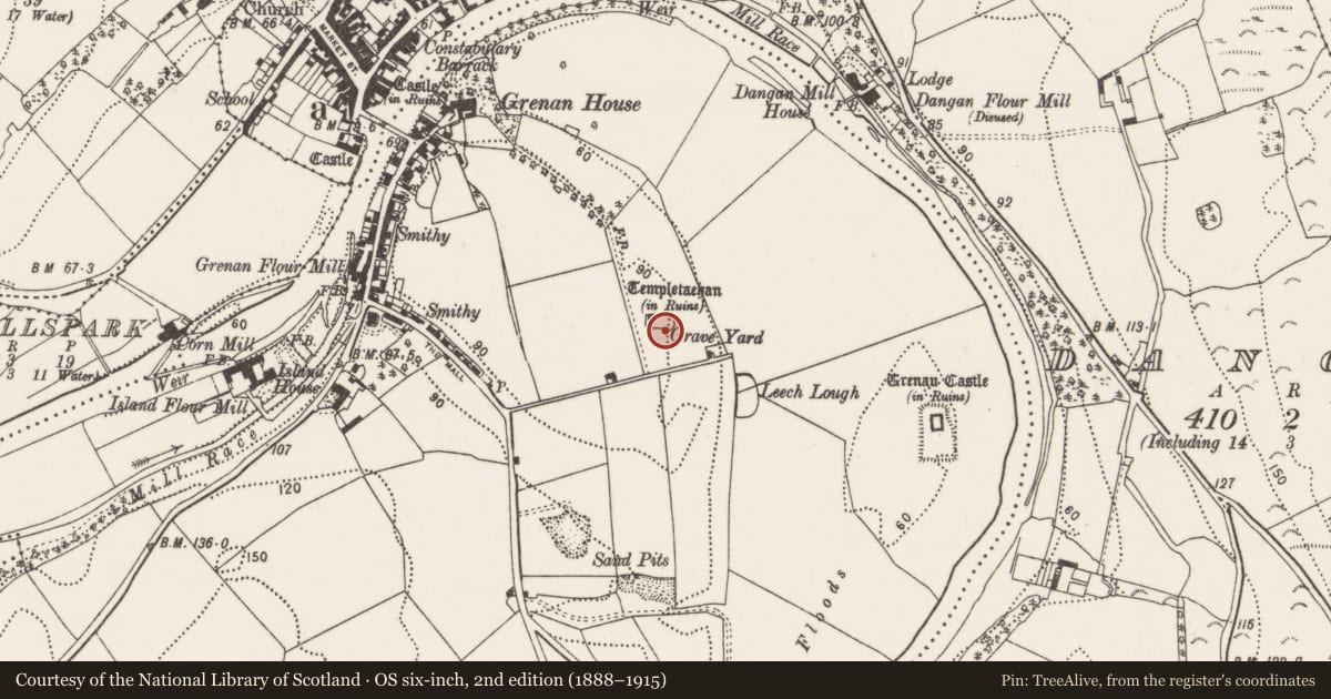 Ordnance Survey six-inch map, 2nd edition (1888–1915) covering the location of Graveyard, Grenan, County Kilkenny, with a pin at the register's coordinates