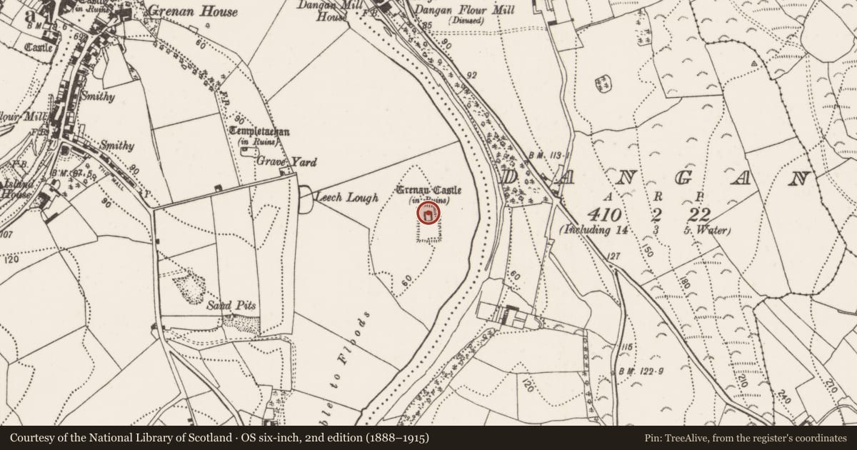 Ordnance Survey six-inch map, 2nd edition (1888–1915) covering the location of Castle - Anglo-Norman masonry castle, Grenan, County Kilkenny, with a pin at the register's coordinates