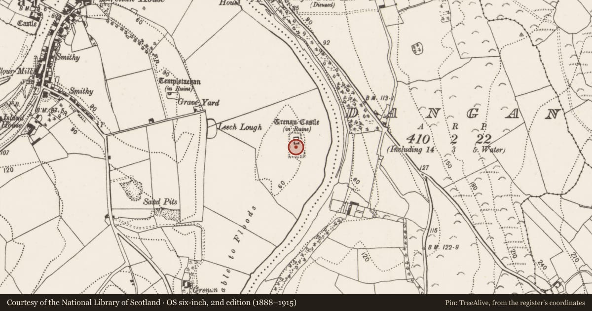 Ordnance Survey six-inch map, 2nd edition (1888–1915) covering the location of Earthwork, Grenan, County Kilkenny, with a pin at the register's coordinates