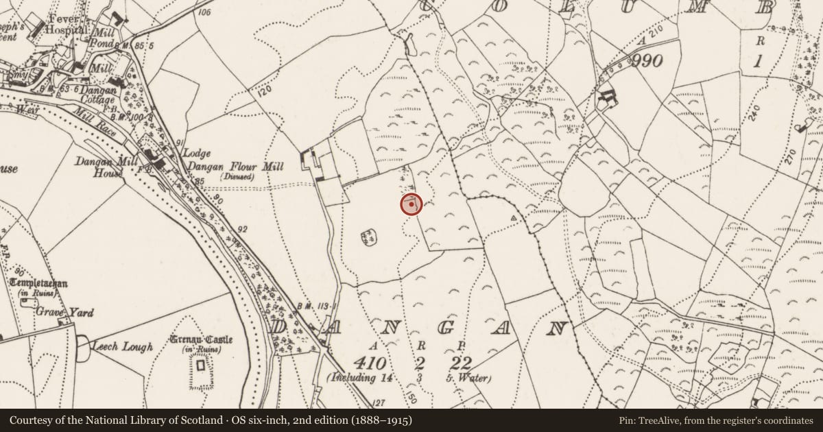 Ordnance Survey six-inch map, 2nd edition (1888–1915) covering the location of Megalithic structure, Dangan, County Kilkenny, with a pin at the register's coordinates