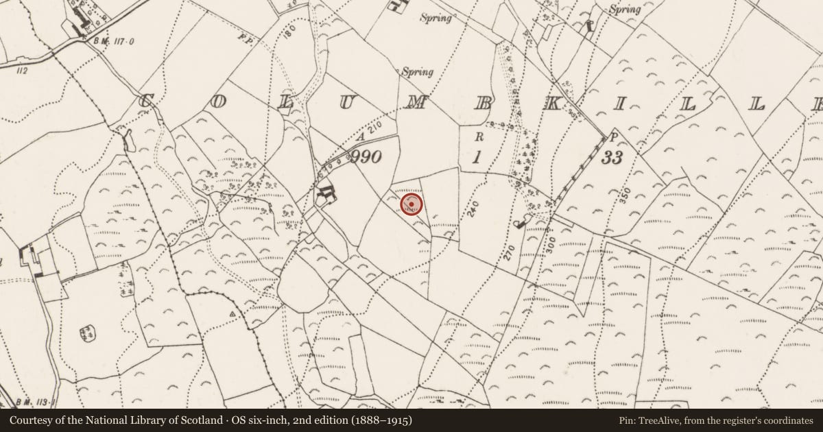 Ordnance Survey six-inch map, 2nd edition (1888–1915) covering the location of Fulacht fia, Columbkille, County Kilkenny, with a pin at the register's coordinates