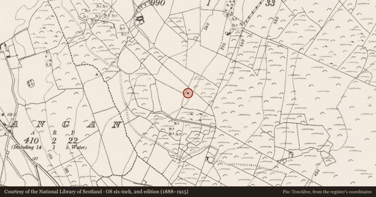 Ordnance Survey six-inch map, 2nd edition (1888–1915) covering the location of Fulacht fia, Columbkille, County Kilkenny, with a pin at the register's coordinates