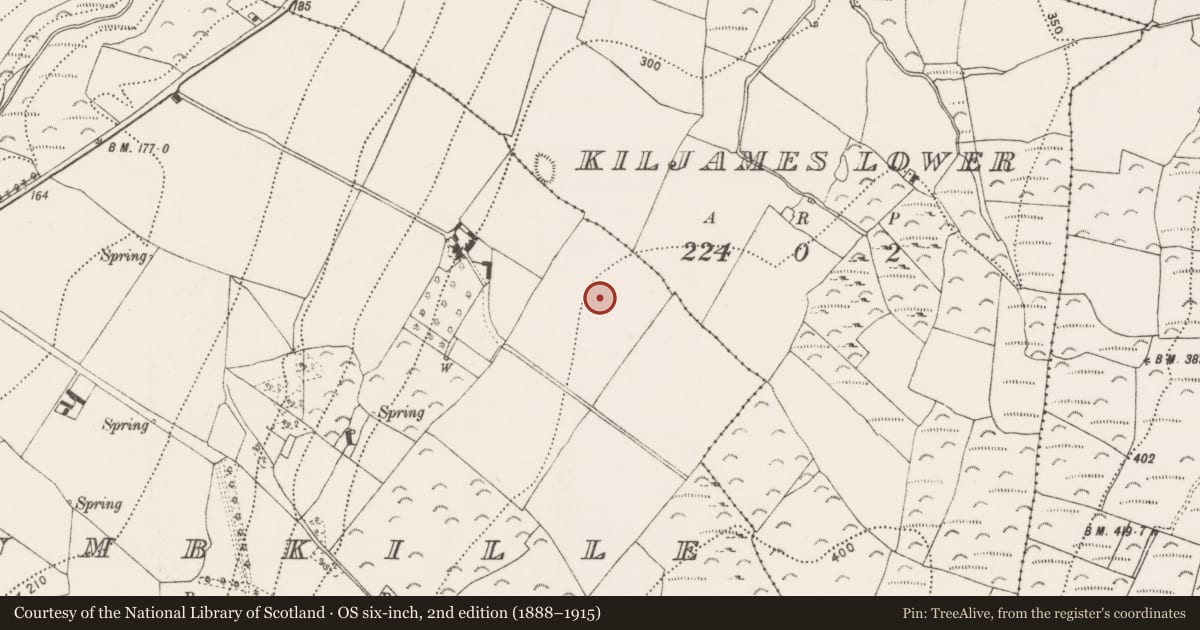 Ordnance Survey six-inch map, 2nd edition (1888–1915) covering the location of Enclosure, Columbkille, County Kilkenny, with a pin at the register's coordinates