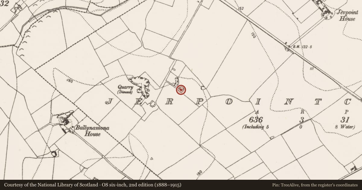 Ordnance Survey six-inch map, 2nd edition (1888–1915) covering the location of Linkardstown burial, Jerpointchurch, County Kilkenny, with a pin at the register's coordinates