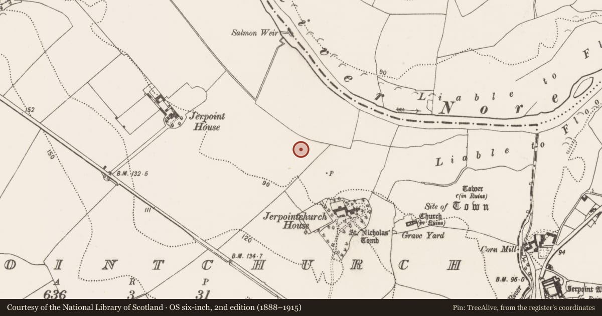 Ordnance Survey six-inch map, 2nd edition (1888–1915) covering the location of Settlement deserted - medieval, Jerpointchurch, County Kilkenny, with a pin at the register's coordinates