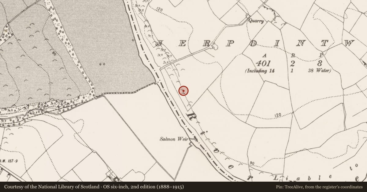 Ordnance Survey six-inch map, 2nd edition (1888–1915) covering the location of Enclosure, Jerpoint West, County Kilkenny, with a pin at the register's coordinates