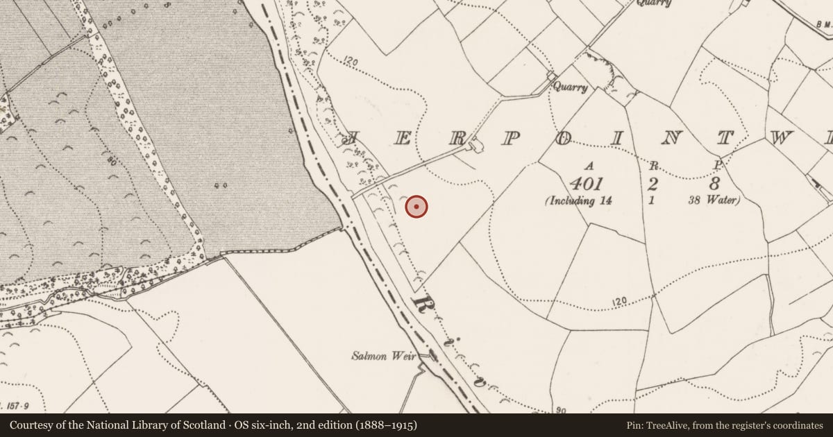Ordnance Survey six-inch map, 2nd edition (1888–1915) covering the location of Linear earthwork, Jerpoint West, County Kilkenny, with a pin at the register's coordinates