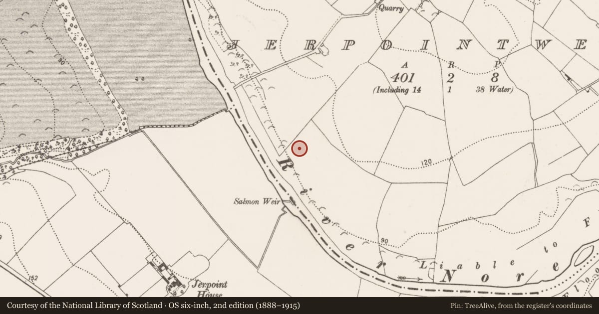 Ordnance Survey six-inch map, 2nd edition (1888–1915) covering the location of Enclosure, Jerpoint West, County Kilkenny, with a pin at the register's coordinates