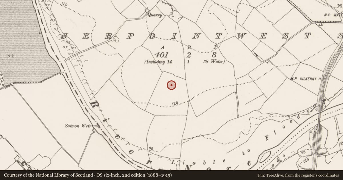 Ordnance Survey six-inch map, 2nd edition (1888–1915) covering the location of Cultivation ridges, Jerpoint West, County Kilkenny, with a pin at the register's coordinates