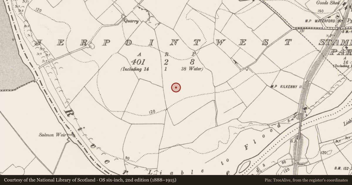 Ordnance Survey six-inch map, 2nd edition (1888–1915) covering the location of Cultivation ridges, Jerpoint West, County Kilkenny, with a pin at the register's coordinates