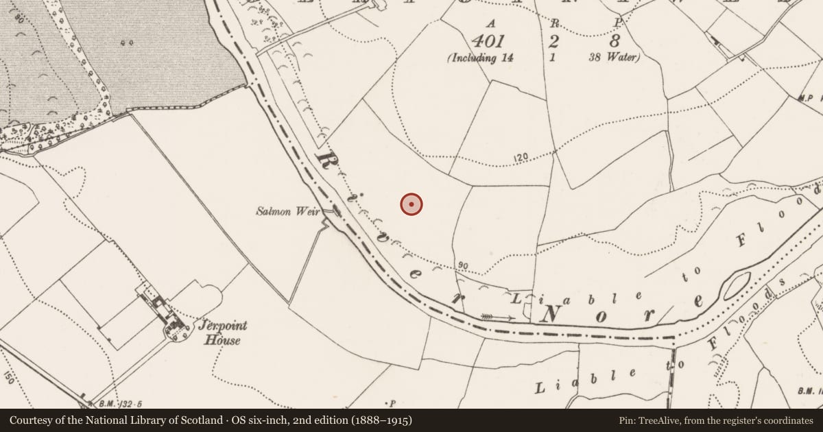 Ordnance Survey six-inch map, 2nd edition (1888–1915) covering the location of Field system, Jerpoint West, County Kilkenny, with a pin at the register's coordinates