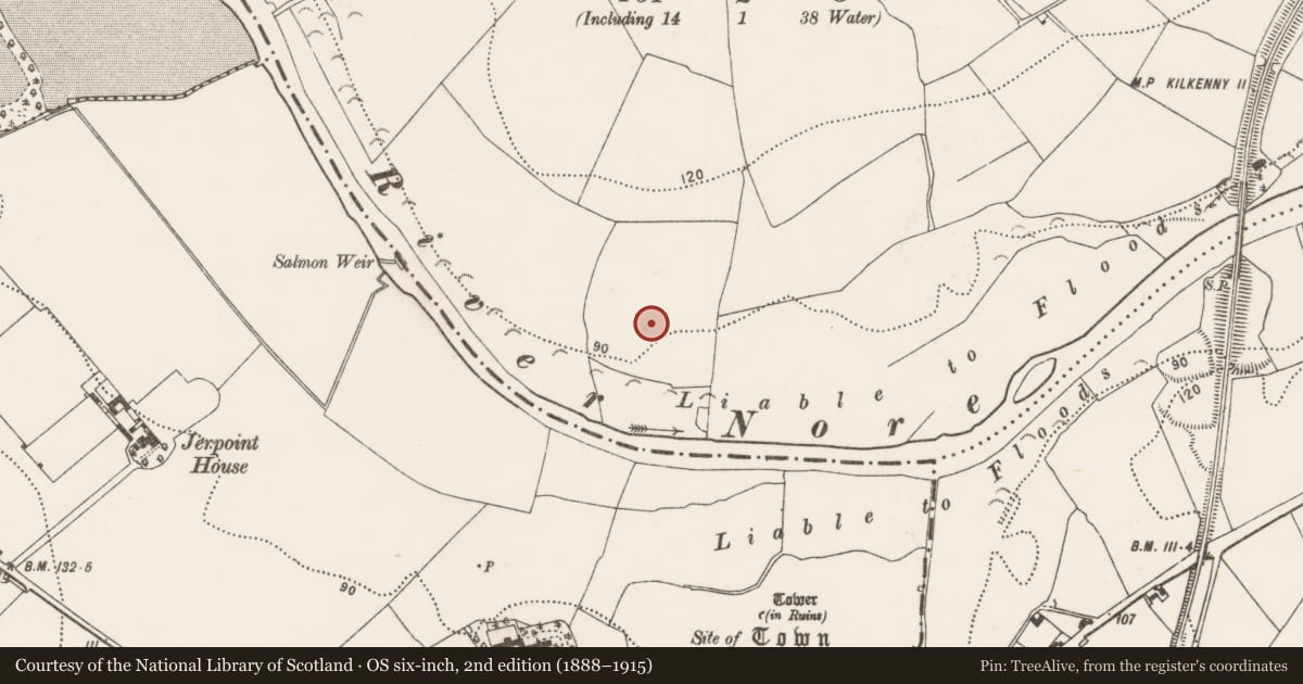 Ordnance Survey six-inch map, 2nd edition (1888–1915) covering the location of Linkardstown burial, Jerpoint West, County Kilkenny, with a pin at the register's coordinates