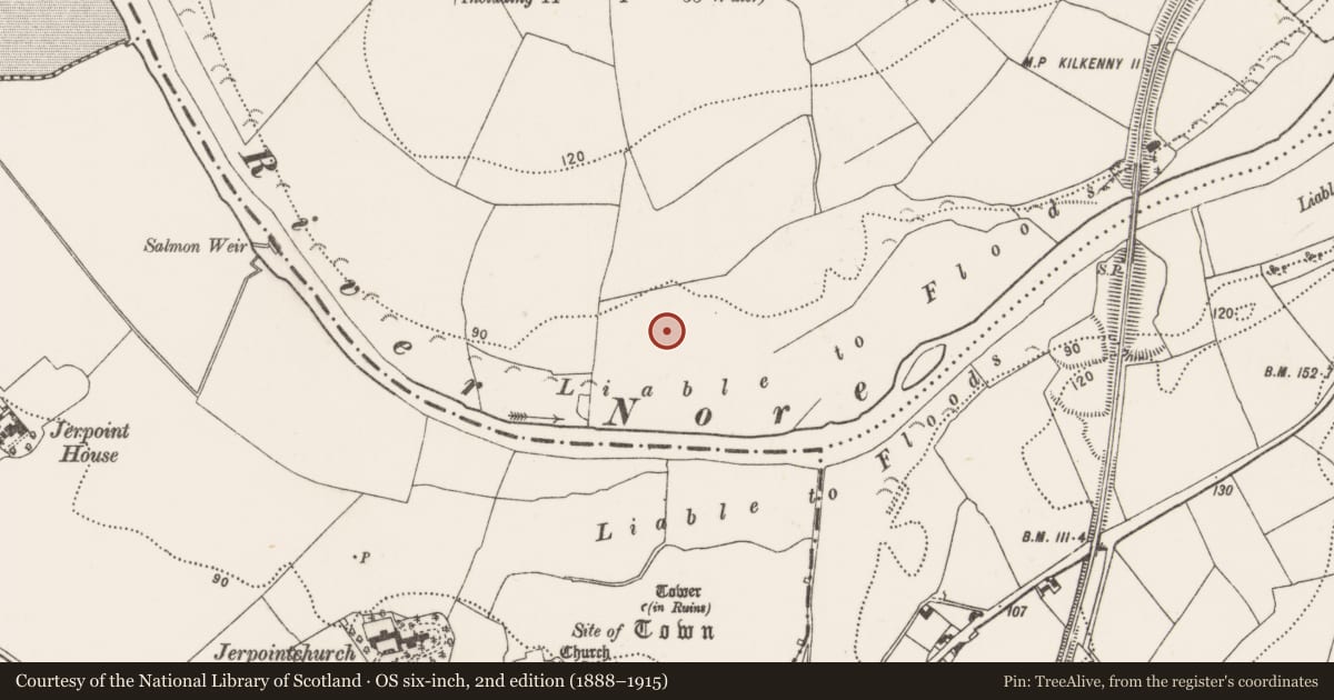 Ordnance Survey six-inch map, 2nd edition (1888–1915) covering the location of Enclosure, Jerpoint West, County Kilkenny, with a pin at the register's coordinates