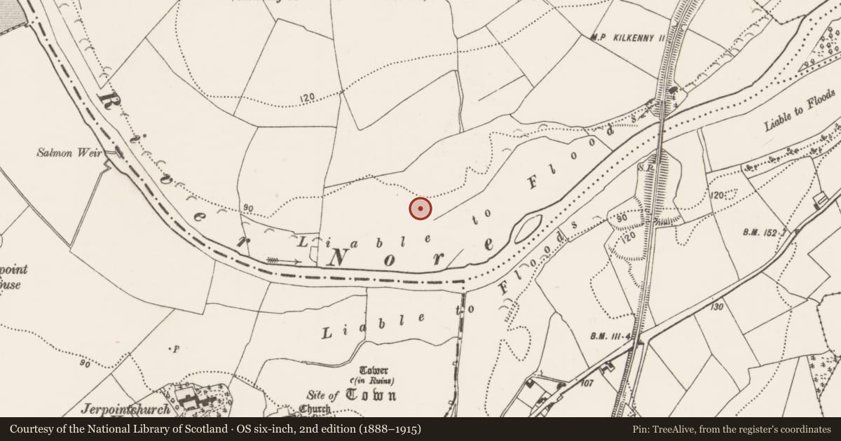 Ordnance Survey six-inch map, 2nd edition (1888–1915) covering the location of Enclosure, Jerpoint West, County Kilkenny, with a pin at the register's coordinates