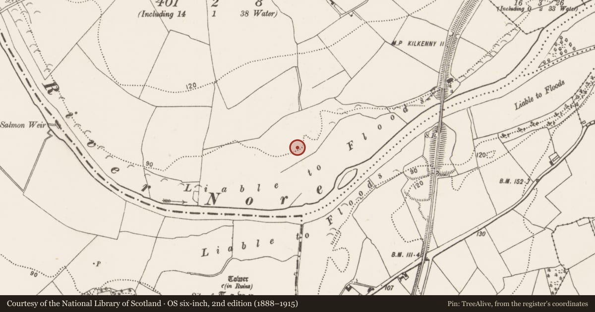 Ordnance Survey six-inch map, 2nd edition (1888–1915) covering the location of Enclosure, Jerpoint West, County Kilkenny, with a pin at the register's coordinates