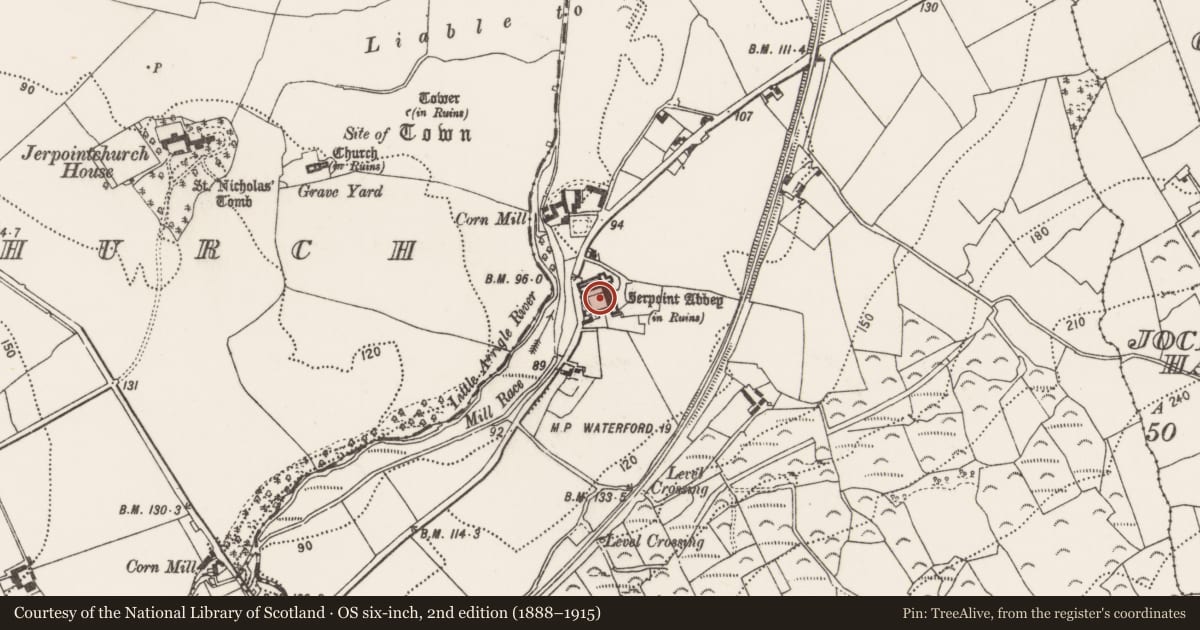 Ordnance Survey six-inch map, 2nd edition (1888–1915) covering the location of Religious house - Cistercian monks, Jerpointabbey, County Kilkenny, with a pin at the register's coordinates