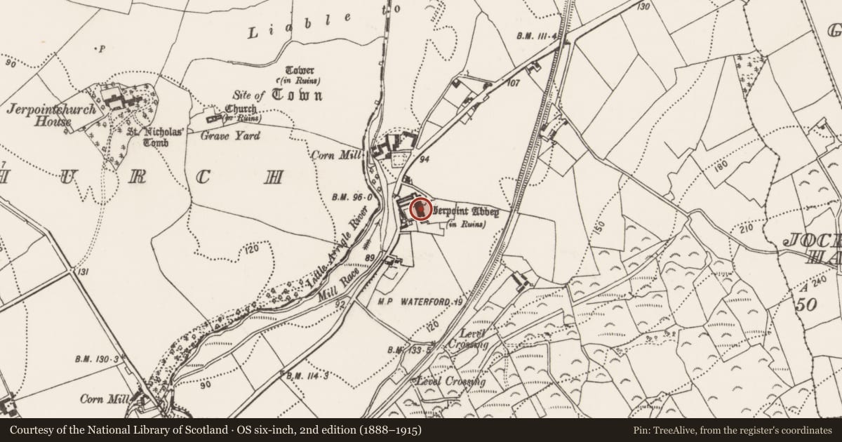 Ordnance Survey six-inch map, 2nd edition (1888–1915) covering the location of Ogham stone (present location), Jerpointabbey, County Kilkenny, with a pin at the register's coordinates