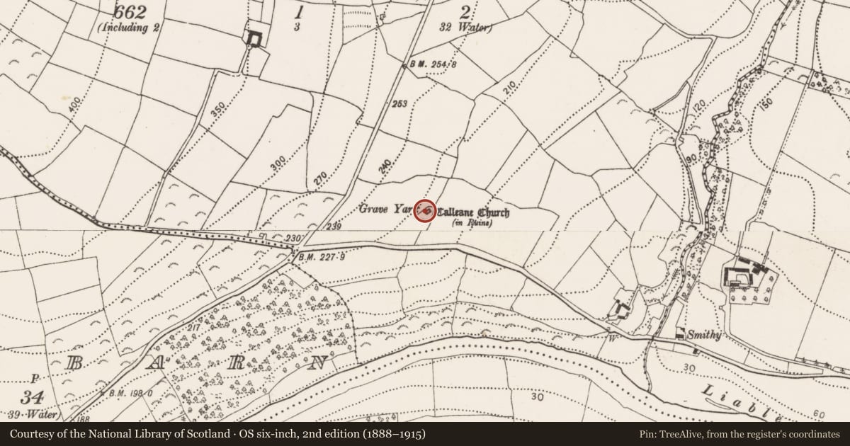 Ordnance Survey six-inch map, 2nd edition (1888–1915) covering the location of Church, Kilcullen, County Kilkenny, with a pin at the register's coordinates