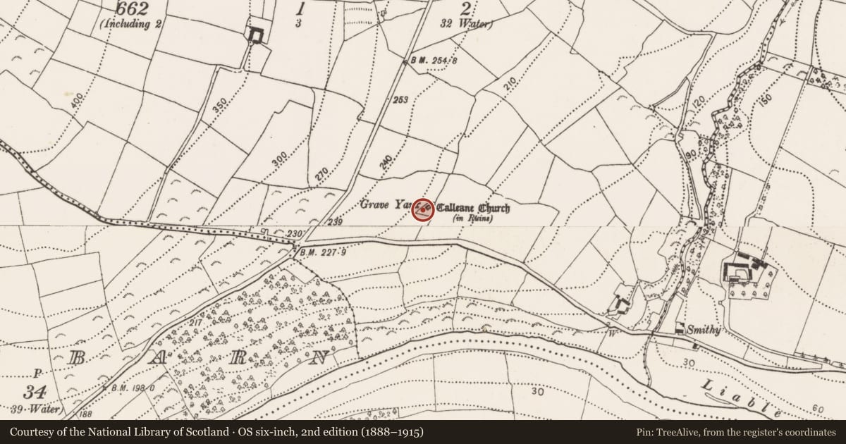 Ordnance Survey six-inch map, 2nd edition (1888–1915) covering the location of Graveyard, Kilcullen, County Kilkenny, with a pin at the register's coordinates