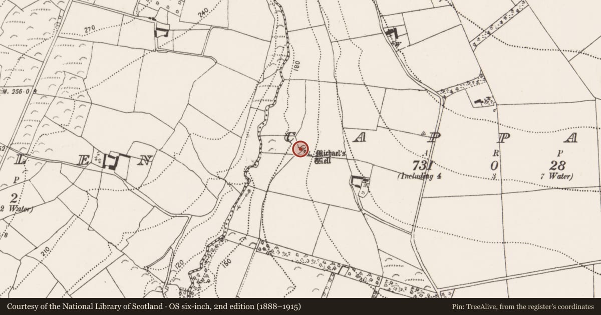 Ordnance Survey six-inch map, 2nd edition (1888–1915) covering the location of Ritual site - holy well, Cappagh, County Kilkenny, with a pin at the register's coordinates