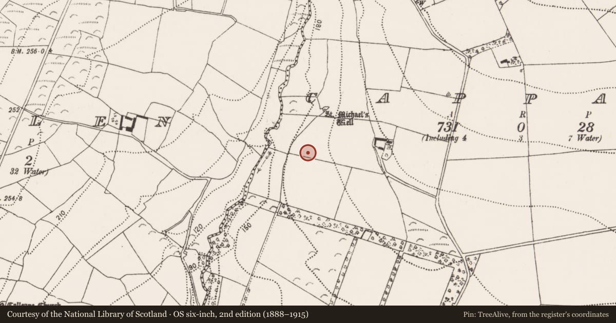 Ordnance Survey six-inch map, 2nd edition (1888–1915) covering the location of Moated site, Cappagh, County Kilkenny, with a pin at the register's coordinates